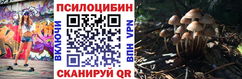OMG как войти  Одинцово  Галлюциногенные грибы Magic Shrooms  как найти закладки 