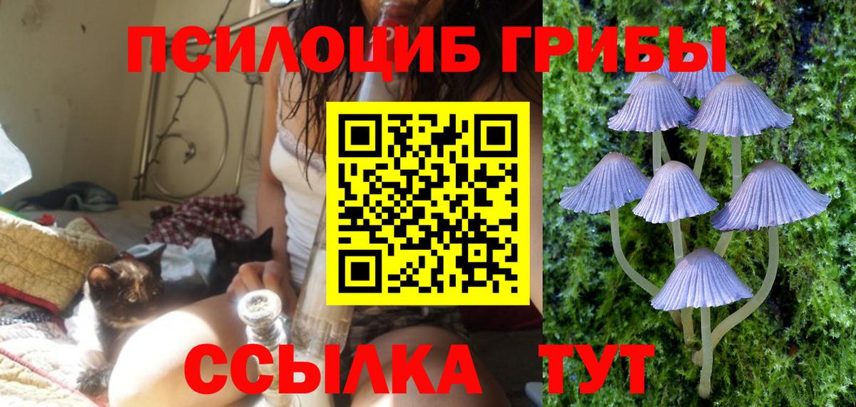 Одинцово  Псилоцибиновые грибы прущие грибы  наркошоп  Вход с VPN 