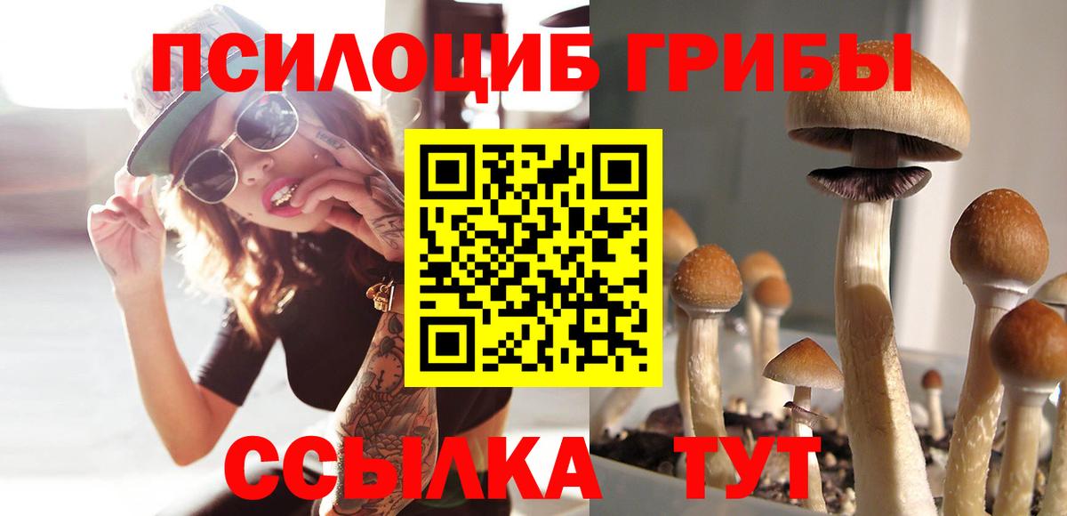 Псилоцибиновые грибы мицелий Одинцово